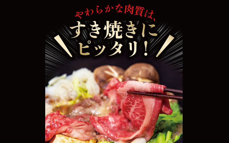 紀和牛すき焼き用赤身700g / 牛  肉 牛肉 紀和牛  赤身 すきやき 700g