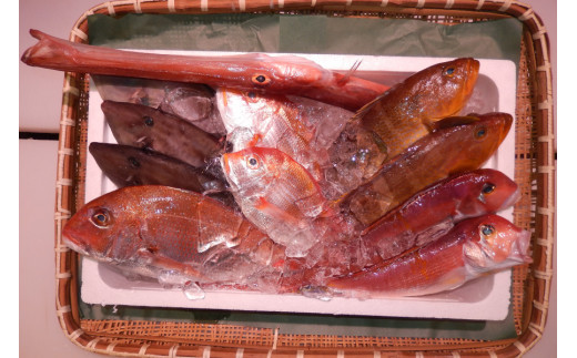 ＼朝どれ新鮮／ 鮮魚セット (大) 約4～5kg前後  目利きのプロが厳選した旬の魚をその日の内に発送！