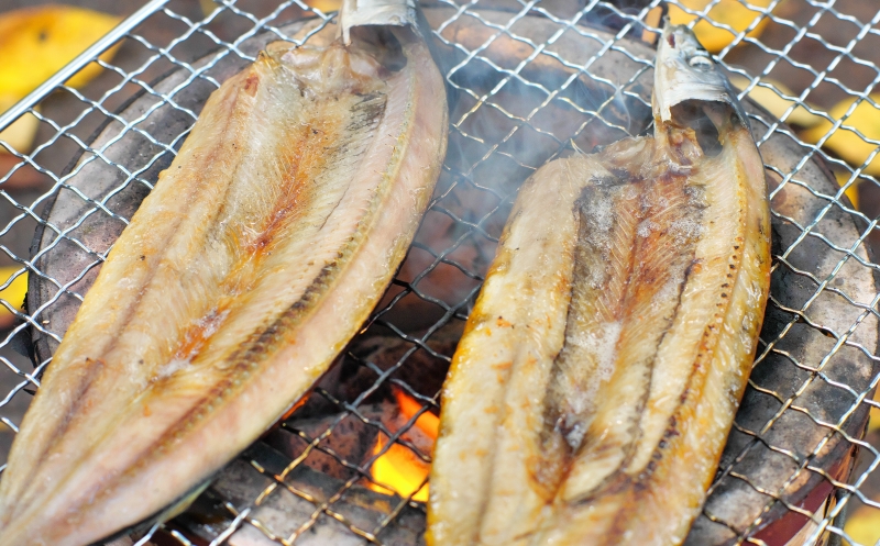 季節のおすすめ干物セットA  三重県紀宝町産 ※季節によって内容が異なります / ひもの 干物 みりん干し 開き 丸干し 詰め合わせ イカ さんま カマス しらす いわし アジ 冷蔵