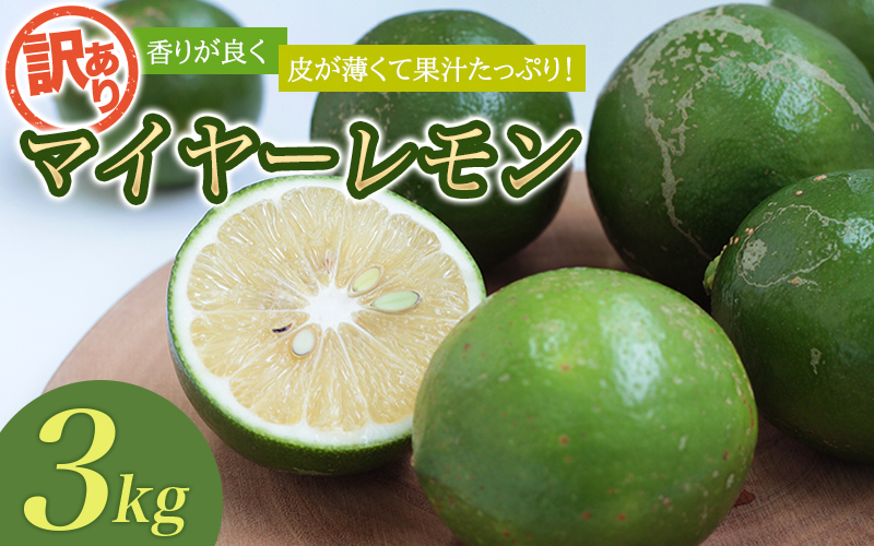 はぎファームの訳ありマイヤーレモン ３kg 【2023年10月~2024年3月下旬の期間で順次発送】 / レモン 国産 マイヤーレモン 数量限定  訳あり