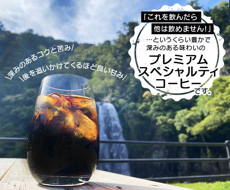 リキッドアイスコーヒー 『紀之宝珈琲』 1L×12本 加藤珈琲店コラボ / 珈琲 COFFEE コーヒー アイスコーヒー 自家焙煎 焙煎 オリジナル ブレンド ギフト 無添加 無糖 無香料