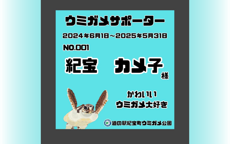 紀宝町ウミガメ公園 ウミガメサポーター（1年間） / ウミガメ サポーター ウミガメ公園 三重県 紀宝町 イベント 餌やり