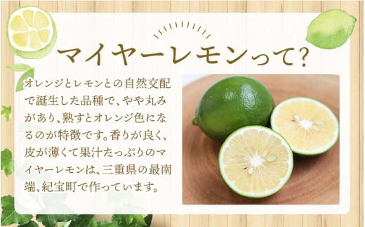 はぎファームの訳ありマイヤーレモン 5kg 【2023年10月~2024年3月下旬の期間で順次発送】 / レモン 国産 マイヤーレモン 数量限定  訳あり