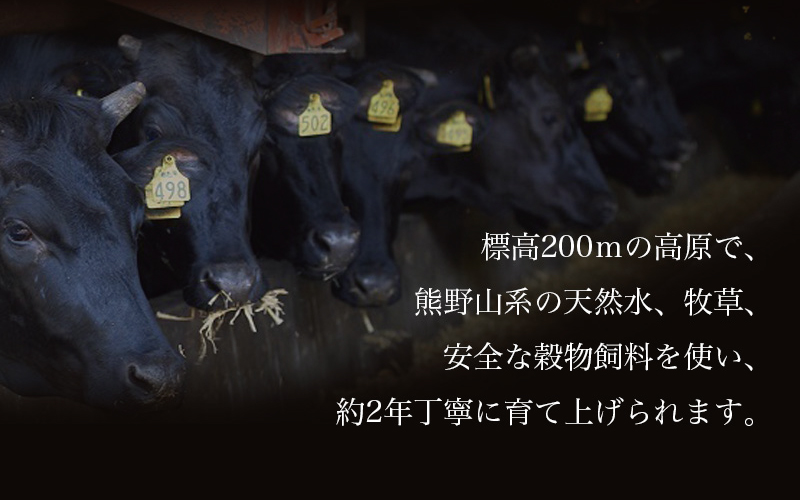 紀和牛すき焼き用赤身700g / 牛  肉 牛肉 紀和牛  赤身 すきやき 700g