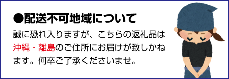 飛雪の滝 「飛雪 HISETSU」 クラフトジン 700ml / お酒 酒  ジン クラフトジン スピリッツ マイヤーレモン レモン バジル 飛雪の滝