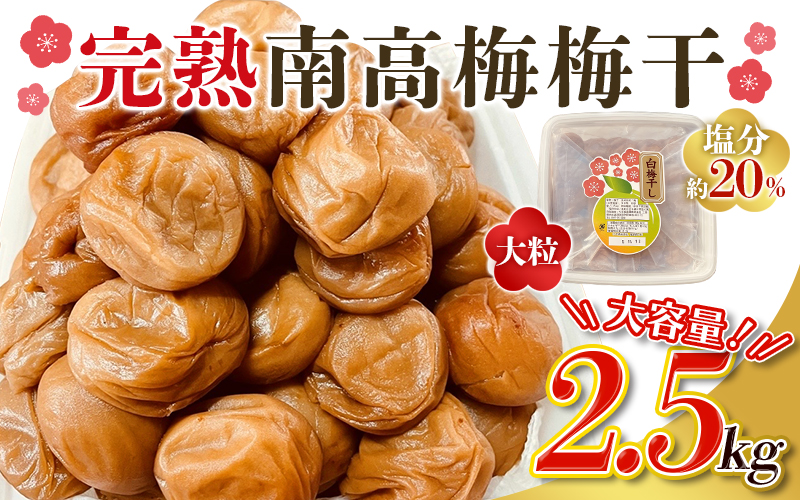 訳あり品 数量限定 完熟南高梅使用梅干し 2.5kg (1.25kg×2個) 2L～4L / 梅 梅干し 梅干 訳あり わけあり ワケアリ 昔ながら まろやか 無添加 塩分濃度約20％  無添加人気 大容量 2.5キロ 大粒 肉 厚 お米 おにぎり 焼酎 梅酒 自家栽培 健康