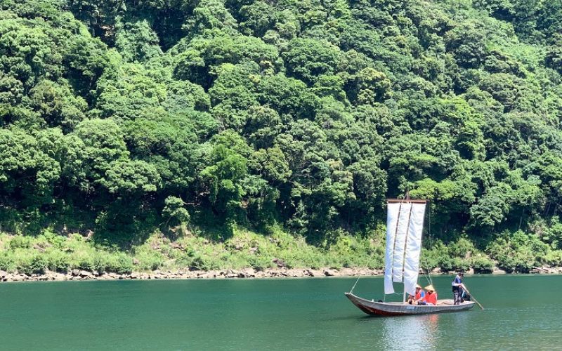 世界遺産 川の参詣道 熊野川 「三反帆」 川舟乗船 ツアー ペアチケット / 体験 体験型 体験チケット 観光 自然 川舟 乗船 歴史 チケット 予約 世界遺産 熊野古道 三重県 紀宝町