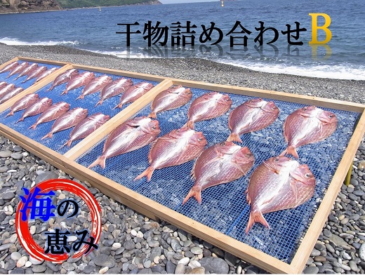 熊野干物詰め合わせ 海の恵み B 鯛 サンマ アジ カマス ブリ カワハギ スルメ 人気 干物セット