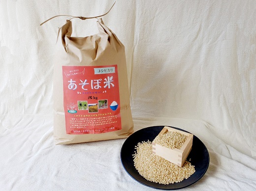 【令和5年産】あそぼ米（こしひかり） 玄米 5kg
