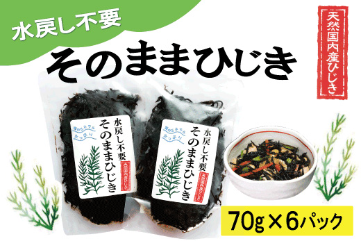 【伊勢丸い水産】 簡単！！ そのまま ひじき 6個パック サラダ マリネ かき揚げ 天ぷら 和え物 煮物 ドライパック 小分け 手軽 時短 戻し不要 ミネラル 栄養 鉄分