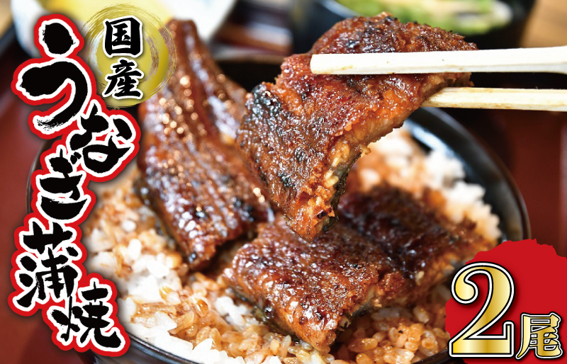  うなぎのかば焼き 2尾入り (タレ4本入り) うな丼 丼 蒲焼 精力 国産 三重 お祝い 特別な日 有名店 行列 職人技 タレ UM2