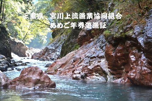 三重県 宮川上流漁業協同組合 あめご 年券 遊漁証 ／ 釣り 川釣り アウトドア 三重県 大台町