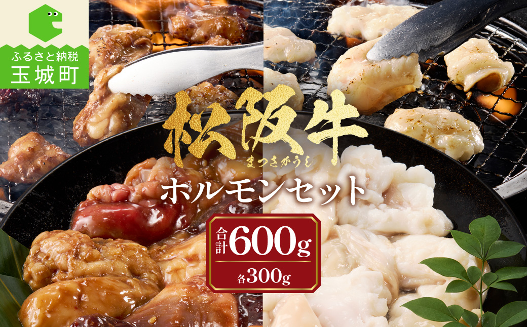 松阪牛ホルモン 600g(2種×300g)
