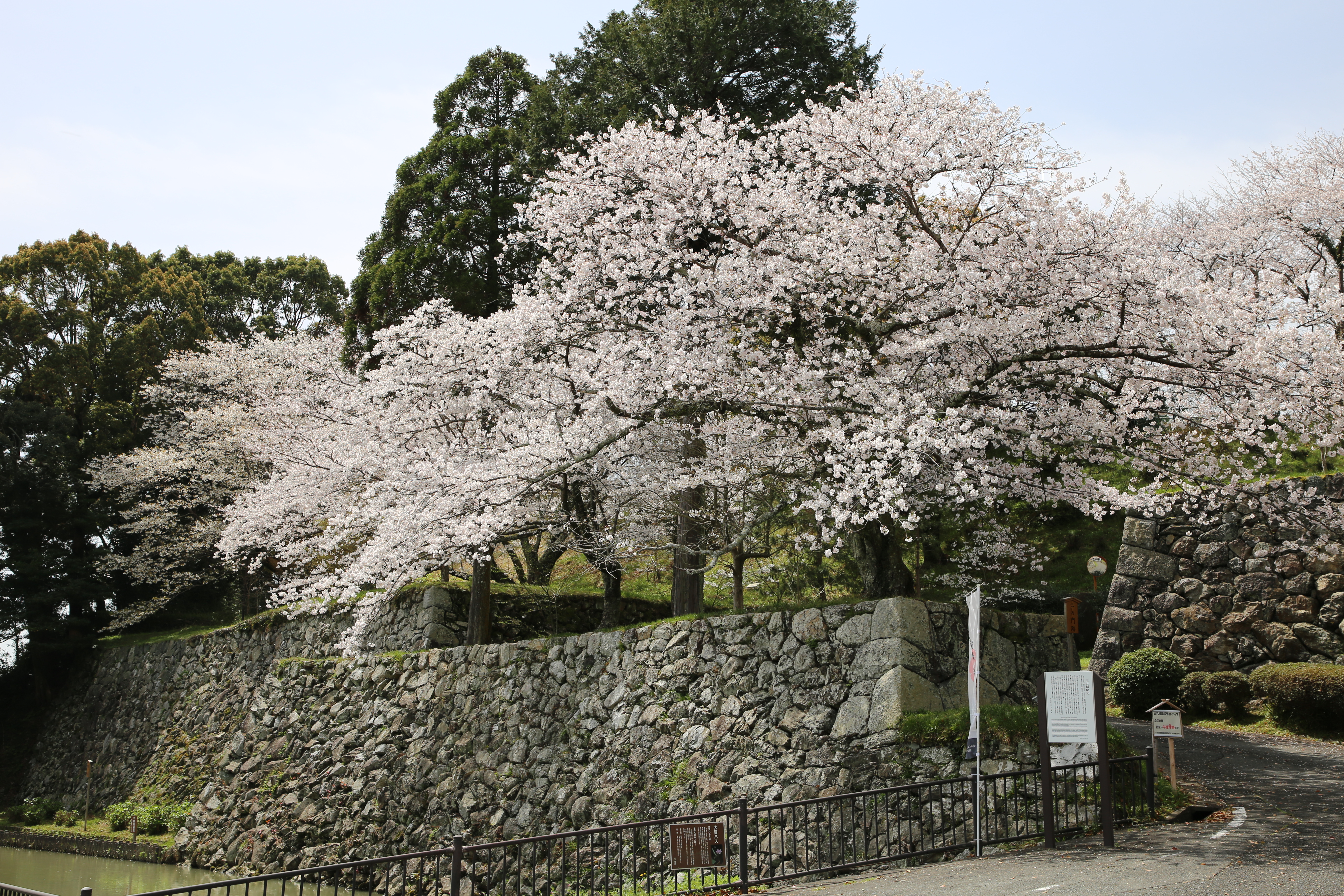 三重県 玉城町