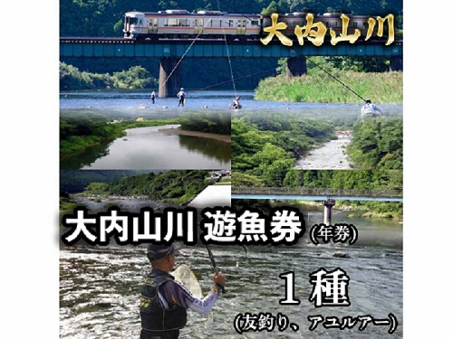 鮎　遊漁券　年券　1種／大内山川漁業協同組合　釣り　友釣り　川釣り　アウトドア　大紀ブランド　三重県　大紀町