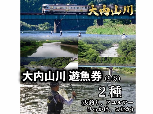 鮎　遊漁券　年券　2種／大内山川漁業協同組合　釣り　友釣り　ひっかけ　こたか　川釣り　アウトドア　大紀ブランド　三重県　大紀町