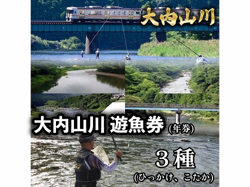 鮎　遊漁券　年券　3種／大内山川漁業協同組合　釣り　ひっかけ　こたか　川釣り　アウトドア　大紀ブランド　三重県　大紀町