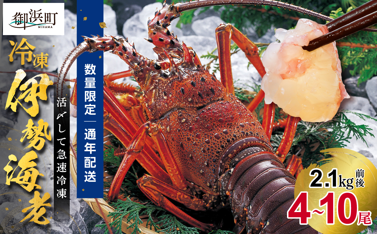 ［日付指定できる！］文恵丸水産の熊野灘産活〆急速冷凍伊勢海老　松4〜10尾 2.1kg前後【要日時指定配達 急速冷凍 活〆 魚介 プロトン 伊勢海老 伊勢えび 海老 えび 伊勢エビ イセエビ のし 熨斗 のし対応可 ギフト 年末年始配達可能 三重県 御浜町 冷凍】