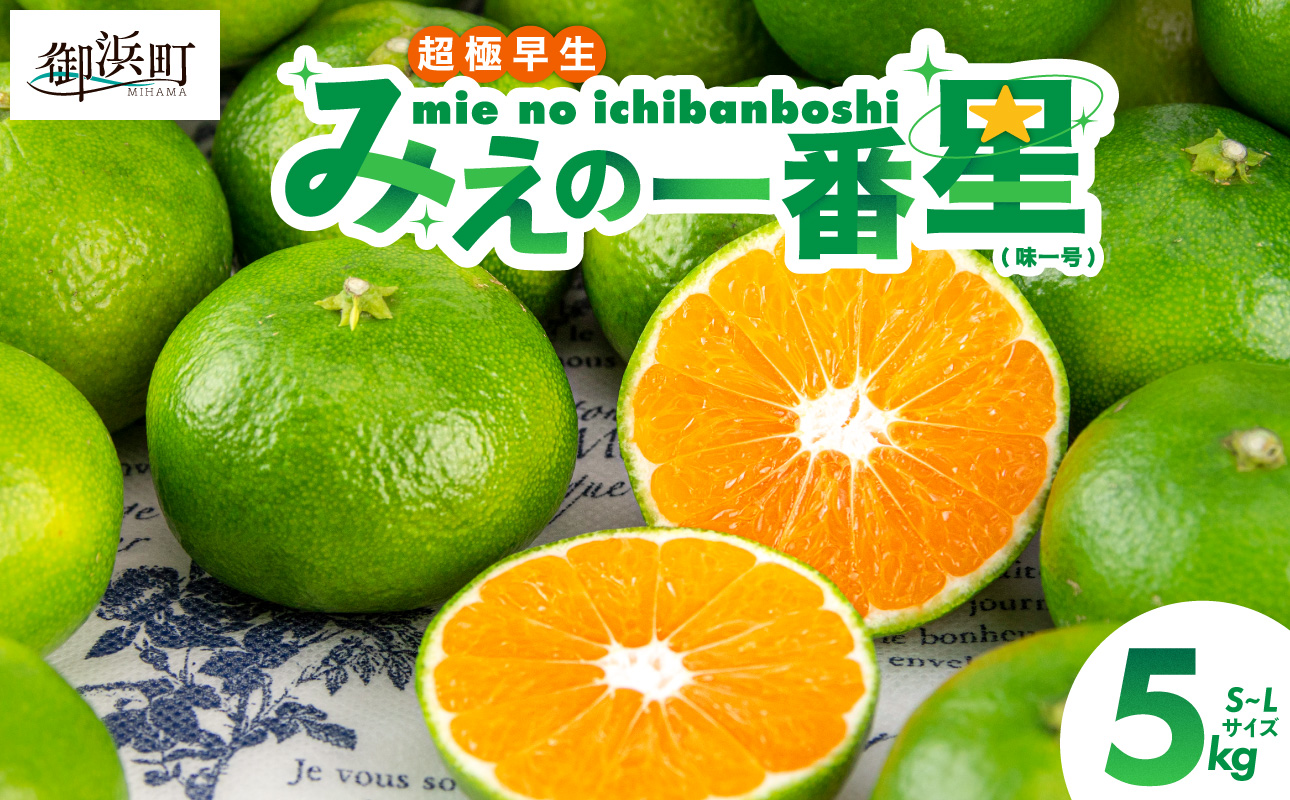 JAみえの一番星（味一号）5キロ【期間限定 数量限定 果物 フルーツ みかん 味一号 みえの一番星 超極早生 5kg 三重県 御浜町】