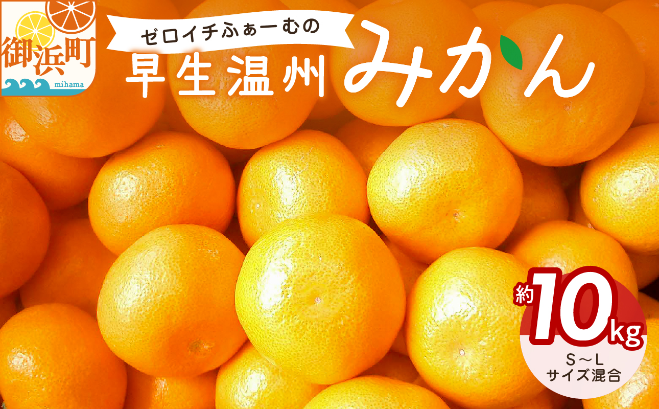 ゼロイチふぁーむのみかん約10キロ【御浜町産 みかん オレンジ デザート 早生 温州 三重県】
