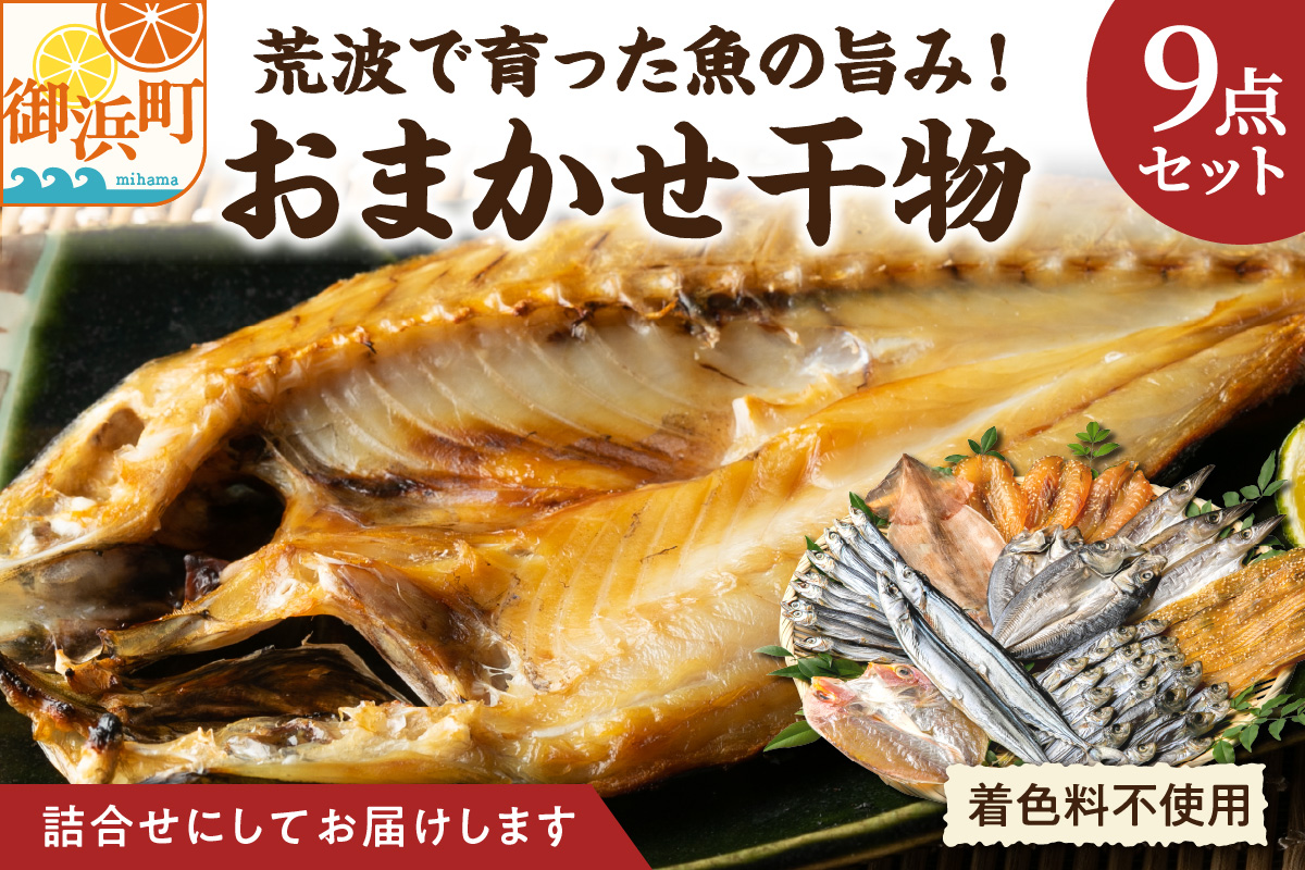 マルミツのおまかせ干物9点【魚 魚介類 干物 セット 詰め合わせ 着色料不使用 三重県 御浜町】