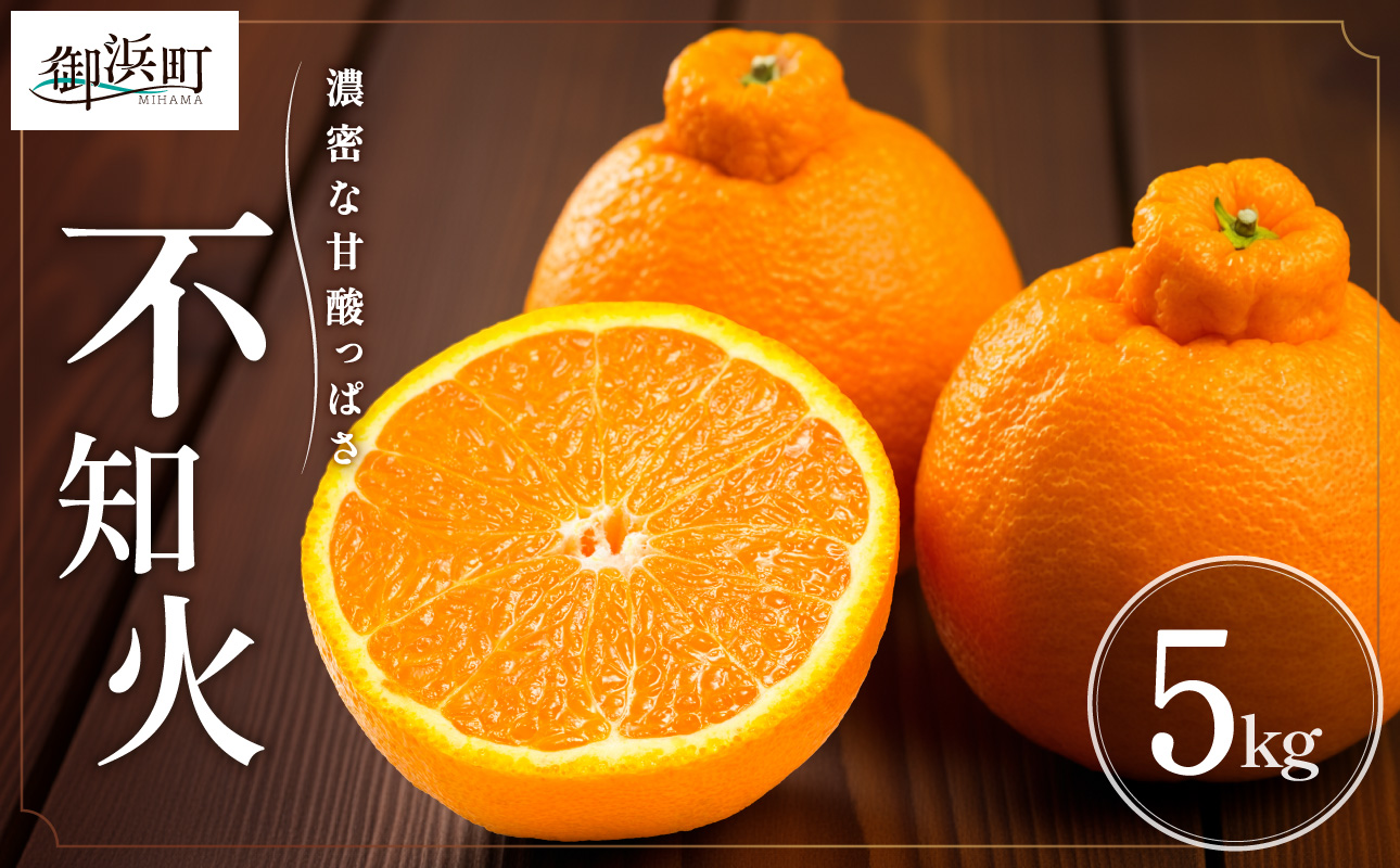 【2027年発送先行予約品】濃密な甘酸っぱさ！ミカファームの不知火5キロ【数量限定 果物 フルーツ みかん 不知火 しらぬい デザート 5kg 三重県 御浜町】