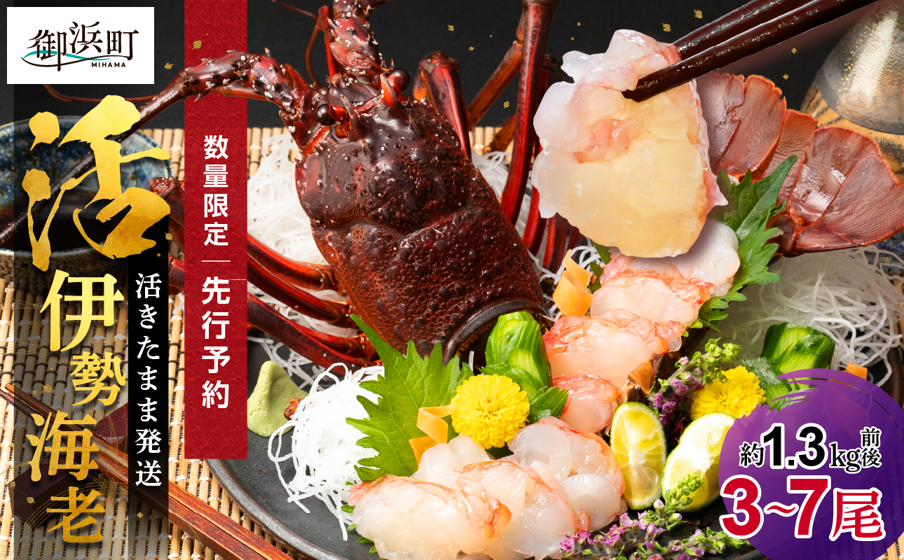 ［日付指定できる！］文恵丸水産の熊野灘産活伊勢海老　豊漁コース 3〜7尾 約1.3kg前後【魚介 伊勢海老 伊勢えび 海老 えび 活き 三重県 御浜町】