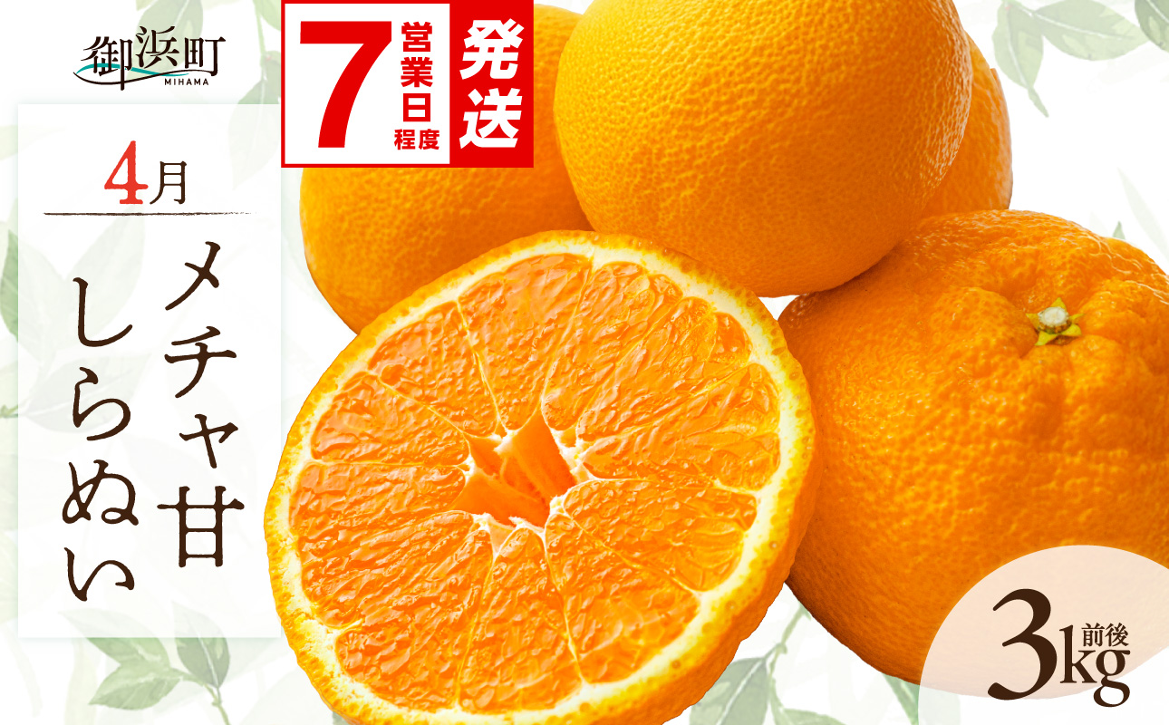 〈 ご入金確認から7営業日程度で発送！ 〉4月の御浜柑橘 メチャ甘しらぬい 3キロ前後【期間限定 果物 フルーツ みかん 不知火 しらぬい 3kg前後 三重県 御浜町】