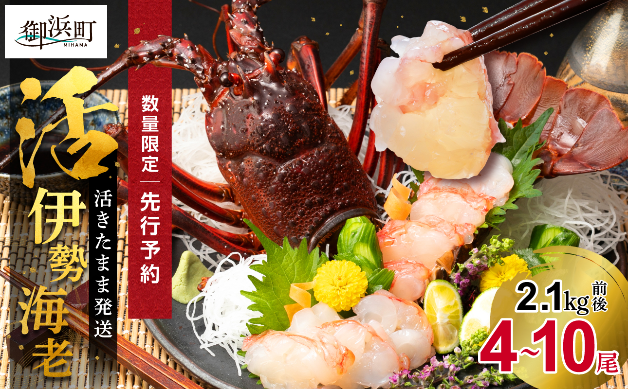 ［日付指定できる！］文恵丸水産の熊野灘産活伊勢海老　大漁コース 4〜10尾 2.1kg前後【魚介 伊勢海老 伊勢えび 海老 えび 活き 伊勢エビ イセエビ のし 熨斗 のし対応可 ギフト 年末年始配達可能 三重県 御浜町】