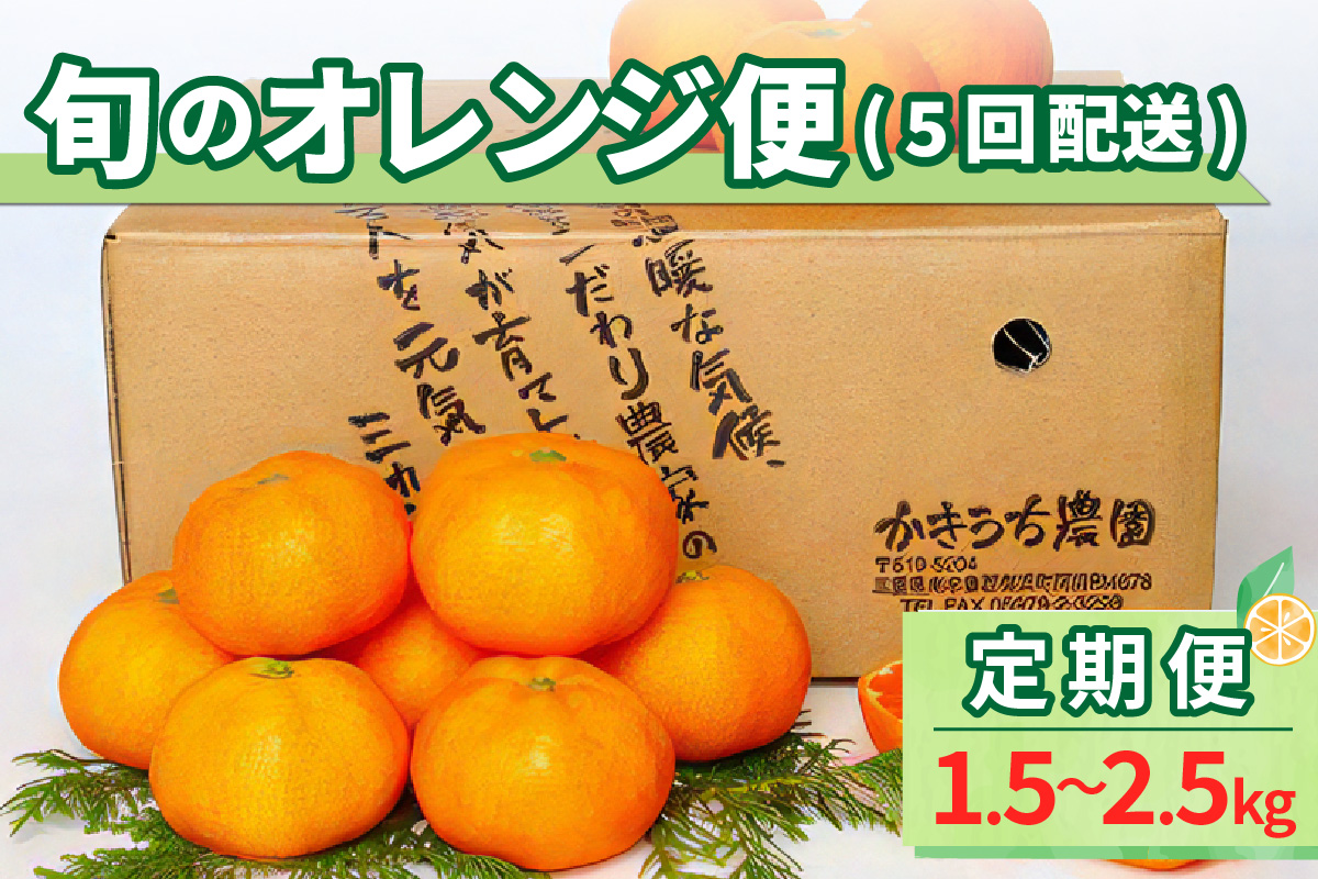 旬のオレンジ便（全5回） 果物 フルーツ みかん オレンジ 定期便 定期 5回