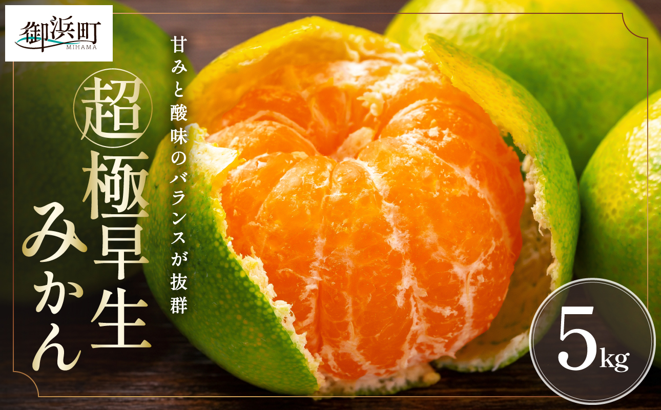 秋の味覚ミカファームの超極早生みかん5キロ【期間限定 数量限定 果物 フルーツ みかん 超極早生みかん 超極早生 デザート 5kg 三重県 御浜町】