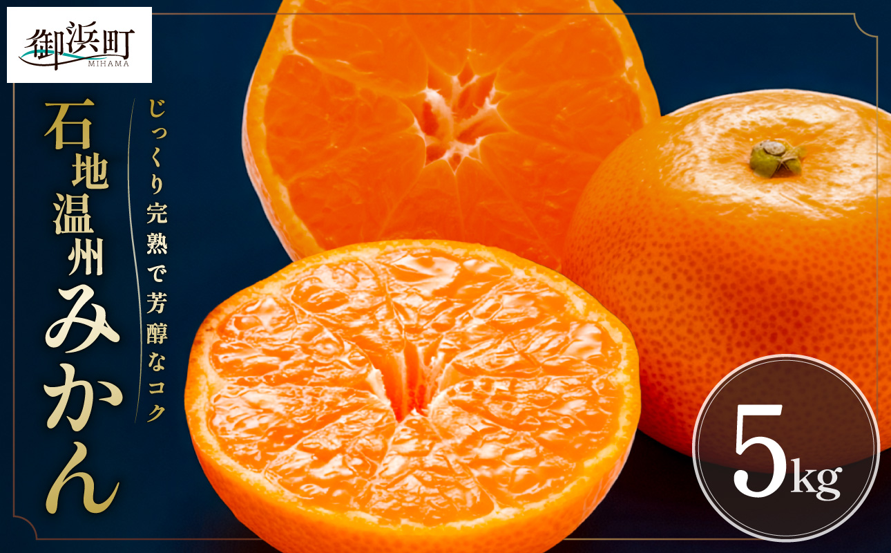 【1週間以内に発送！】ミカファームの石地温州みかん5キロ【期間限定 数量限定 果物 フルーツ みかん 温州みかん 石地温州みかん デザート 5kg 三重県 御浜町】
