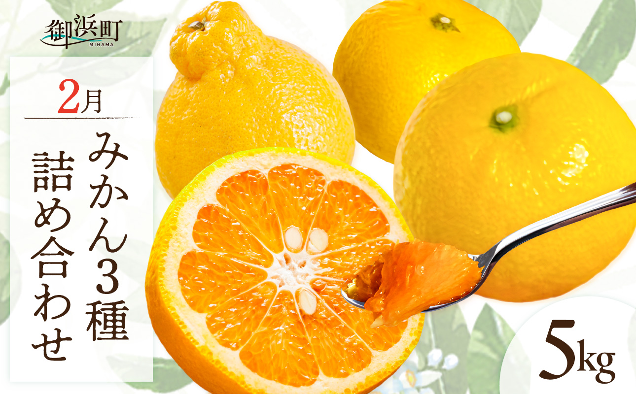 【2027年発送先行予約品】2月の御浜柑橘 みかん3種詰め合わせ 5キロ【先行予約 期間限定 果物 フルーツ みかん 詰め合わせ 5kg 三重県 御浜町】