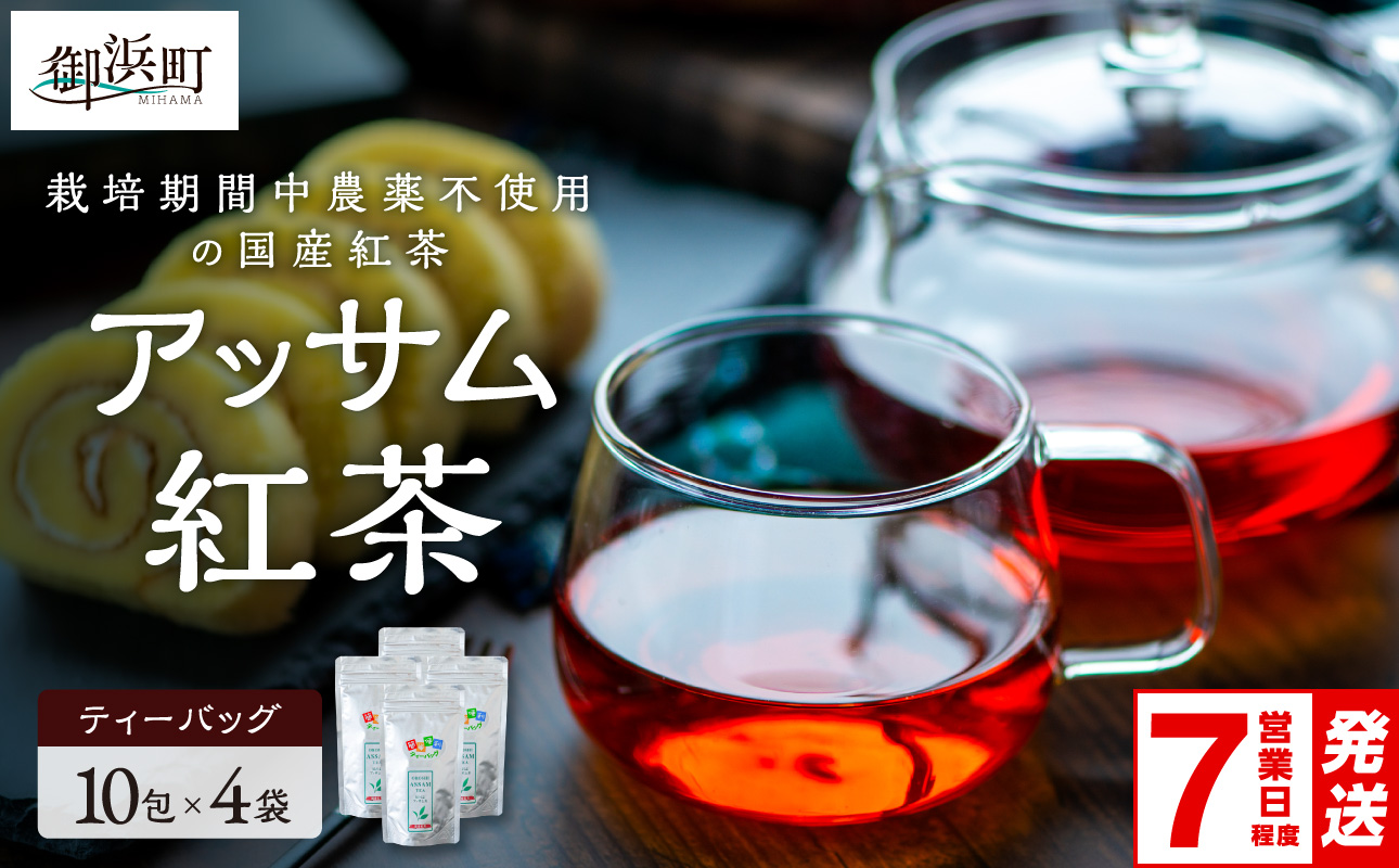 珍しい！国産アッサム紅茶（パック）【紅茶 茶葉 アッサム アッサム紅茶 アッサムティー 国産 ティーバッグ 栽培期間内農薬不使用 自然発酵 自然な甘み あっさり アッサムTea21 三重県 御浜町】