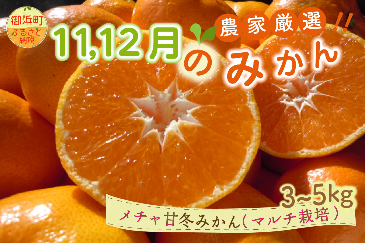 11月12月の御浜柑橘　メチャ甘冬みかん3〜5キロ