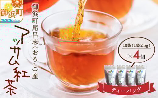 アッサムTea21のアッサム紅茶（パック）【紅茶 茶葉 アッサム アッサム紅茶 アッサムティー 国産 ティーバッグ 栽培期間内農薬不使用 自然発酵 自然な甘み あっさり アッサムTea21 三重県 御浜町】