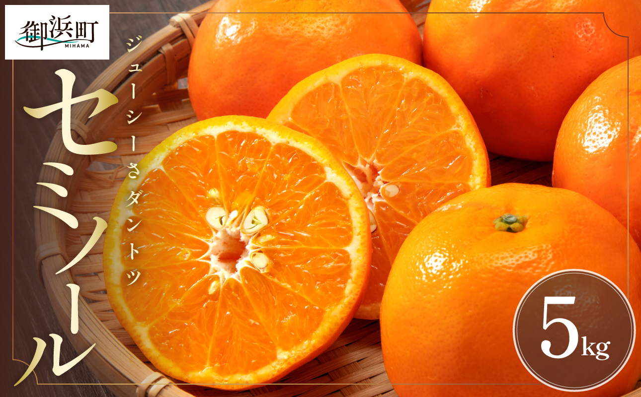 【2026年発送 先行予約品】ジューシーさダントツ！ミカファームのセミノール5キロ【数量限定 果物 フルーツ みかん セミノール デザート 5kg 三重県 御浜町】