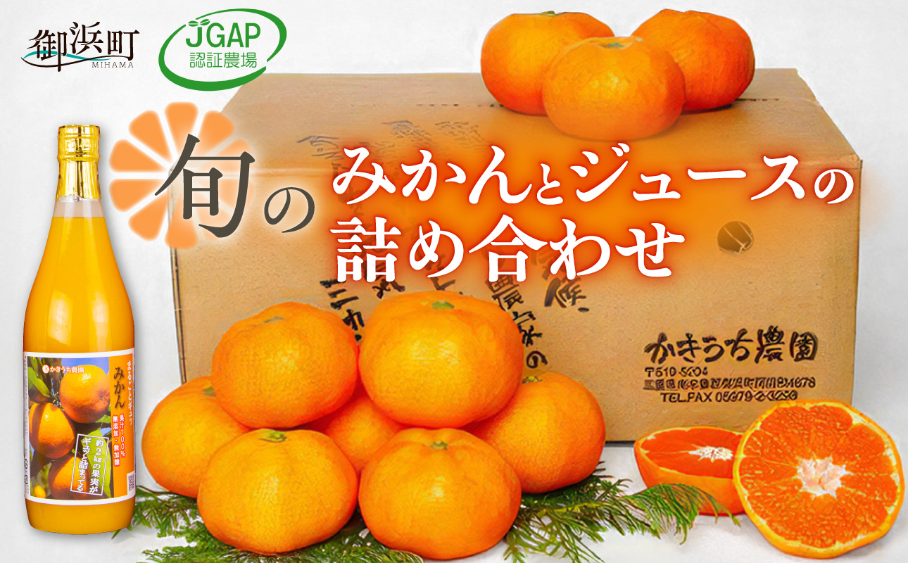 かきうち農園のみかんとジュースの詰め合わせ【果物 フルーツ みかん オレンジ デザート 旬 みかんジュース オレンジジュース セット 詰め合わせ 三重県 御浜町】
