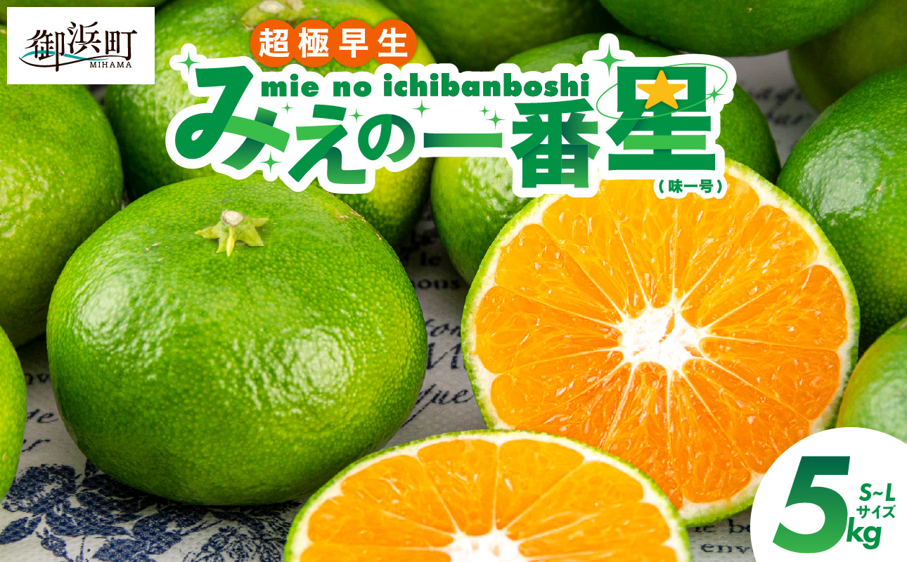 JAみえの一番星（味一号）5キロ【期間限定 数量限定 果物 フルーツ みかん 味一号 みえの一番星 超極早生 5kg 三重県 御浜町】
