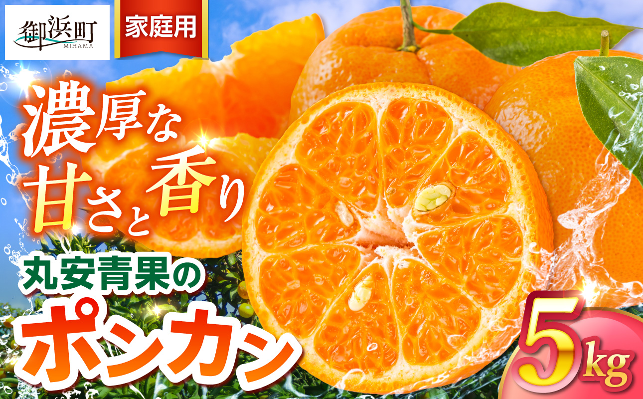 丸安青果のポンカン5キロ（家庭用) 【果物 フルーツ みかん 訳あり 家庭用 蜜柑 ポンカン 5kg 三重県 御浜町】