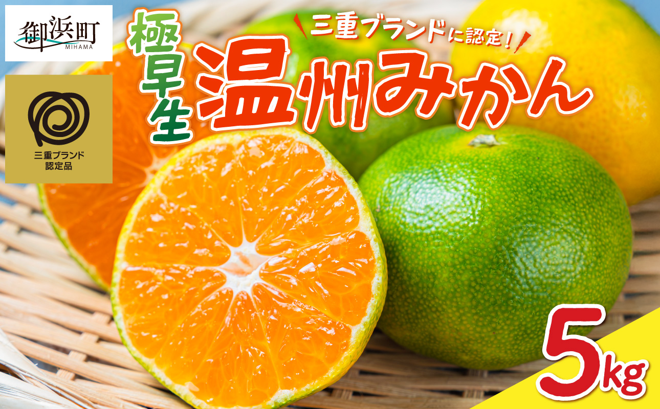JAの南紀みかん極早生5キロ【期間限定 数量限定 果物 フルーツ みかん デザート 極早生 温州 5kg 三重県 御浜町】
