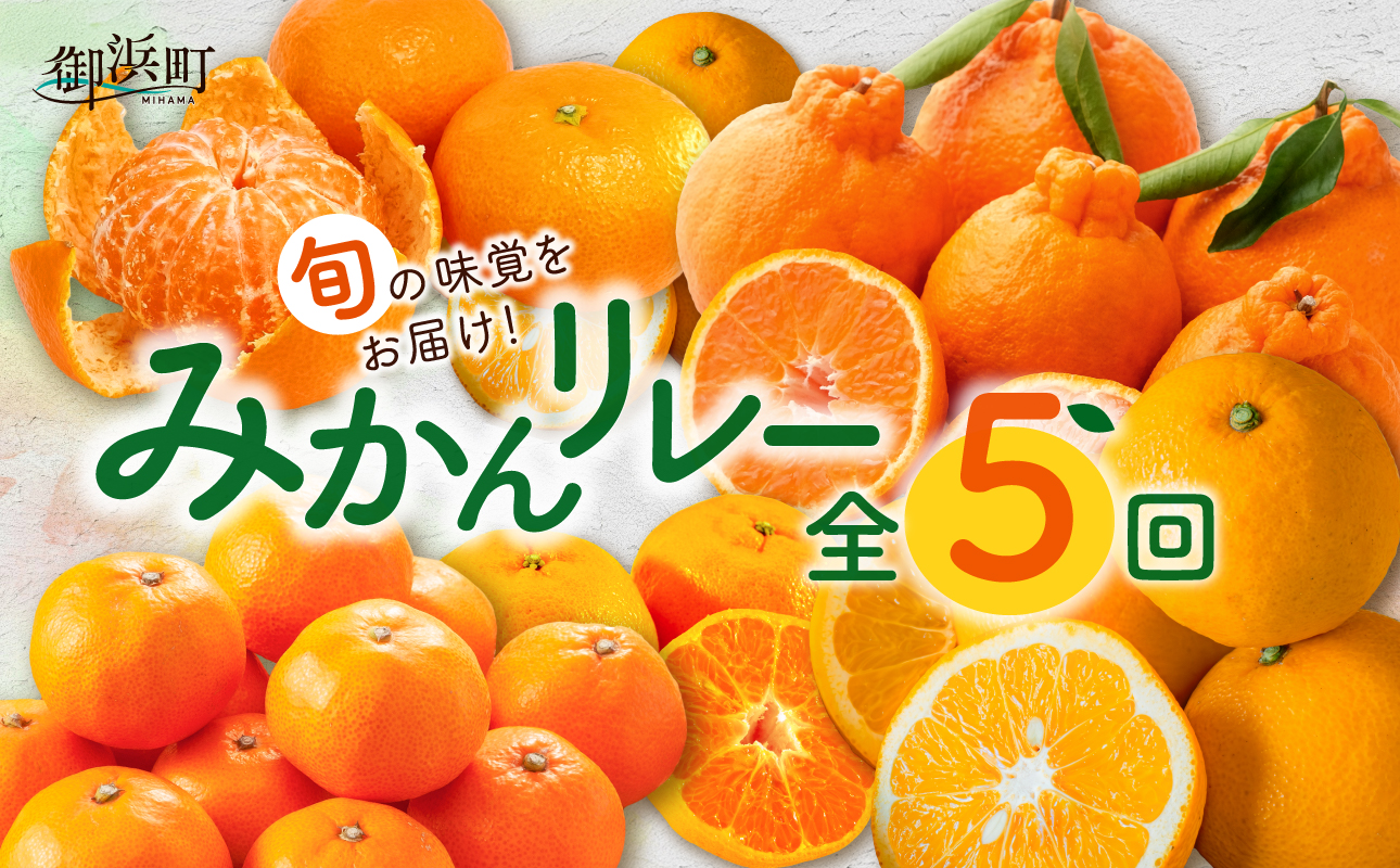 丸安青果の御浜町産みかん（全5回）【果物 フルーツ みかん 定期 定期便 5回 ポンカン 不知火 サンフルーツ ハウス 温州 三重県 御浜町】