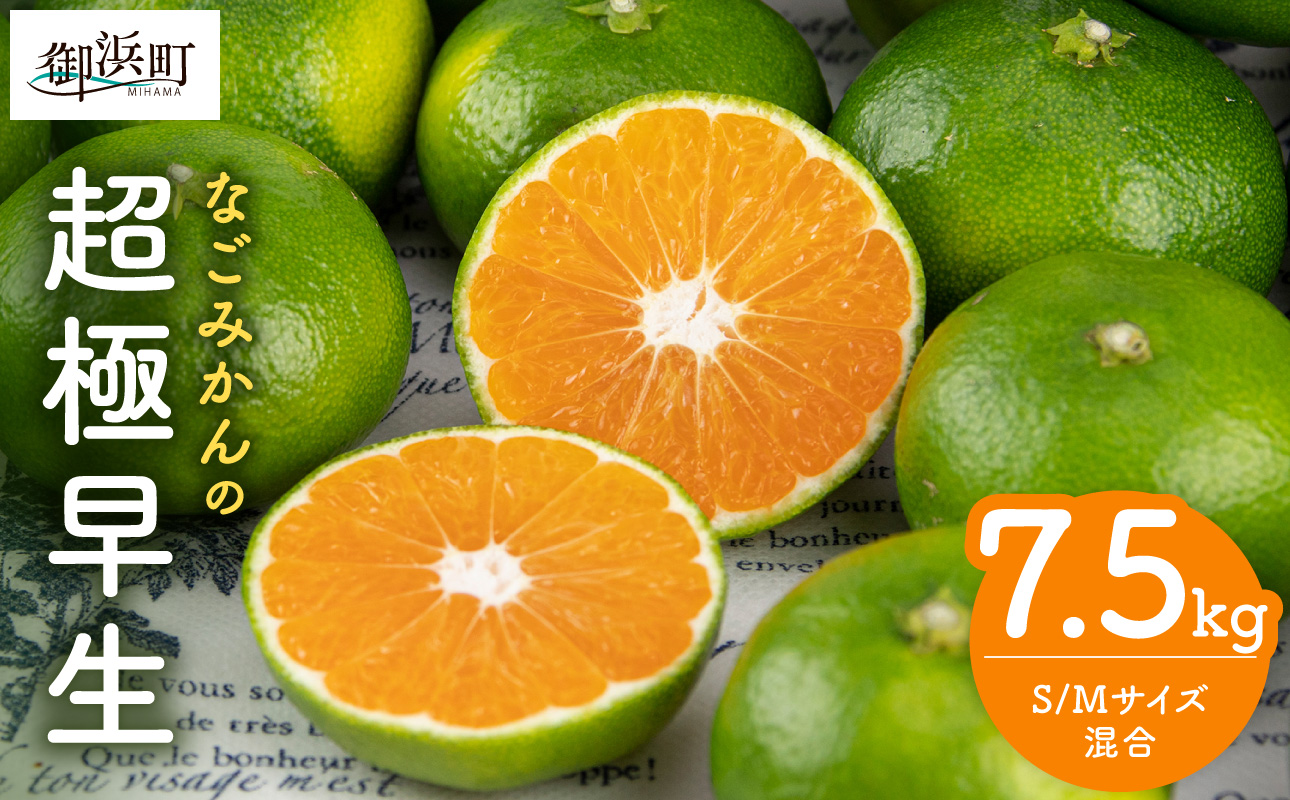 なごみかんの超極早生7.5キロ【数量限定 果物 フルーツ みかん 超極早生みかん デザート 7.5kg 三重県 御浜町】