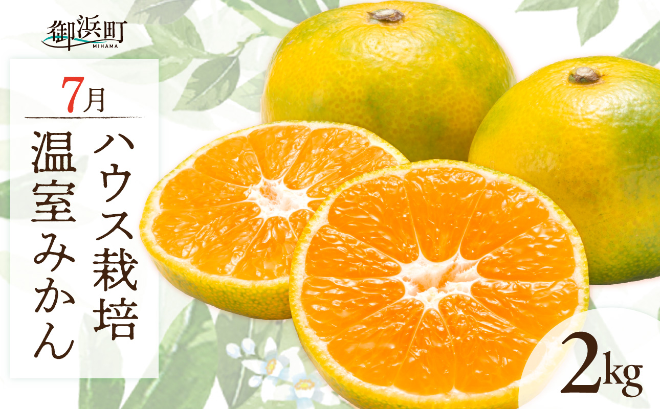 7月の御浜柑橘 温室みかん 2キロ【先行予約 期間限定 果物 フルーツ みかん 温室みかん 2kg 三重県 御浜町】