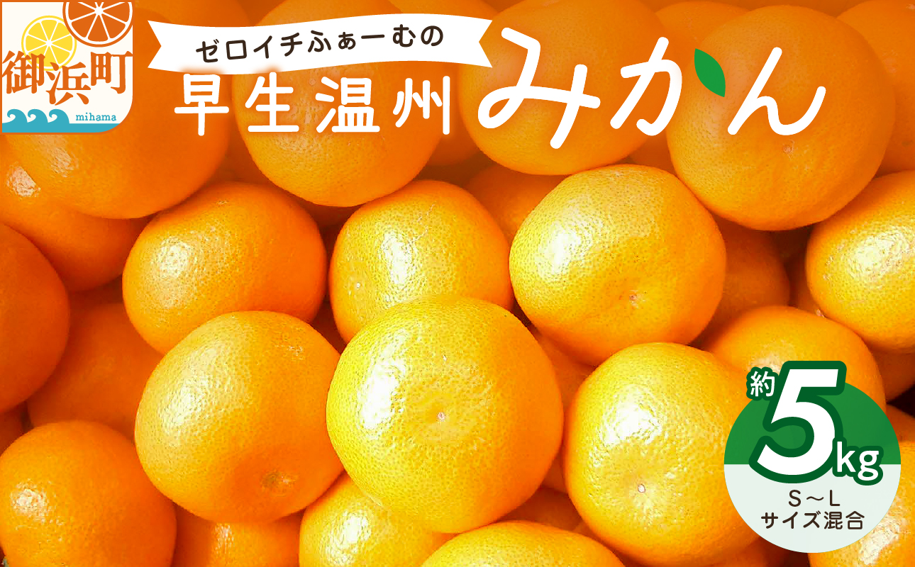 ゼロイチふぁーむのみかん約5キロ【御浜町産 みかん オレンジ デザート 早生 温州 三重県】