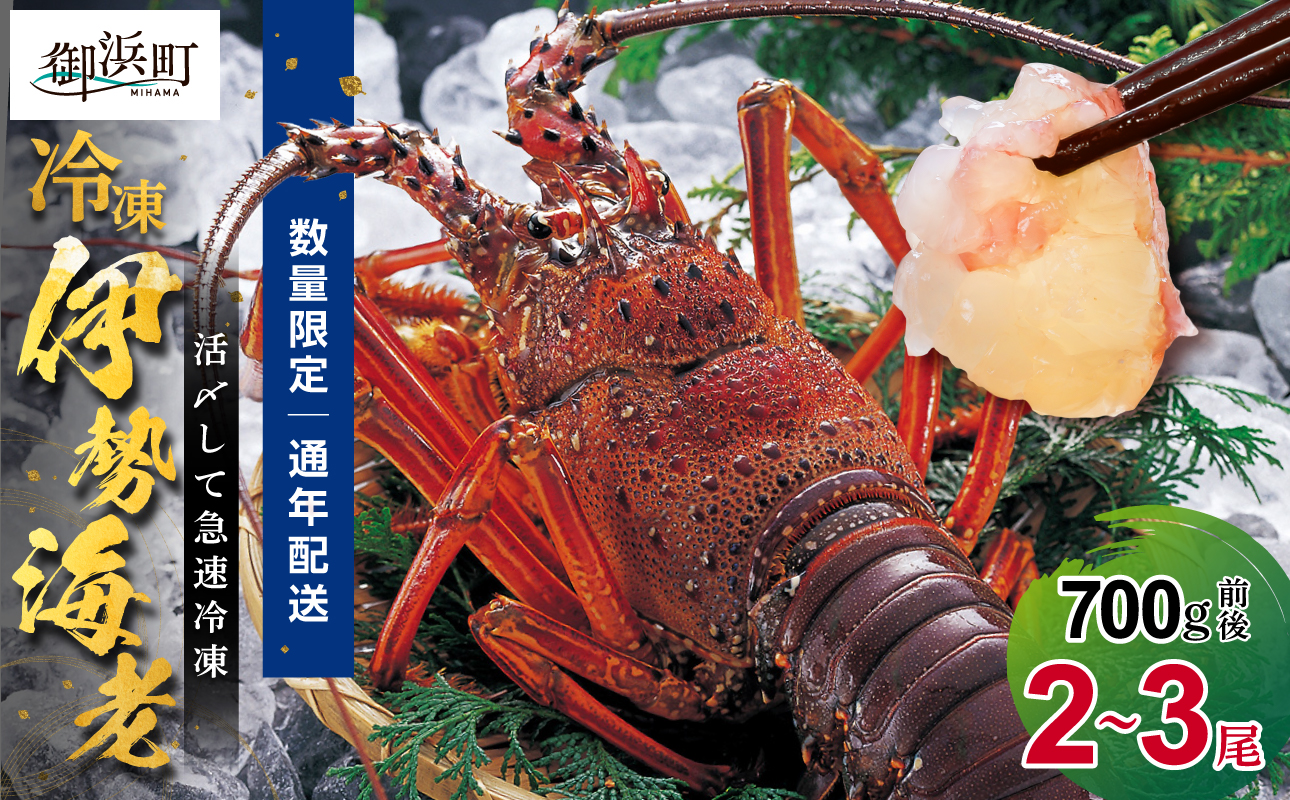 ［日付指定できる！］文恵丸水産の熊野灘産活〆急速冷凍伊勢海老　梅2〜3尾 700g前後【要日時指定配達 活〆 急速冷凍 魚介 プロトン 伊勢海老 伊勢えび 海老 えび 伊勢エビ イセエビ のし 熨斗 のし対応可 ギフト 年末年始配達可能 三重県 御浜町 冷凍】