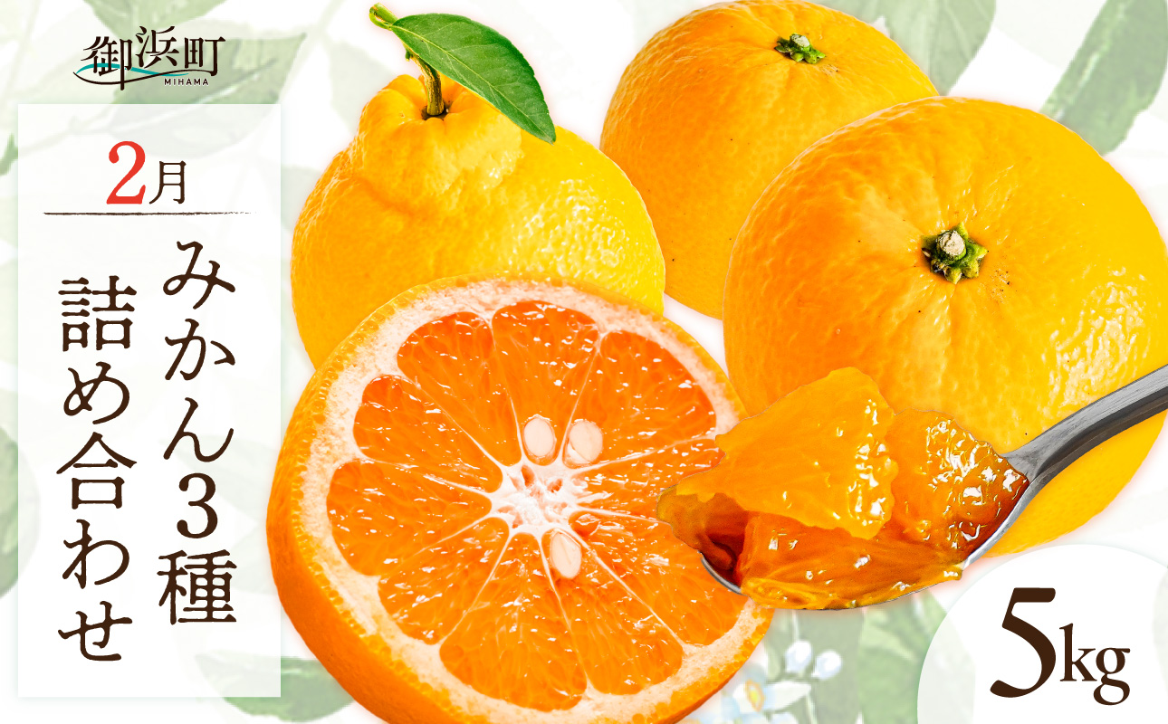 【2027年発送先行予約品】2月の御浜柑橘 みかん3種詰め合わせ 5キロ【先行予約 期間限定 果物 フルーツ みかん 詰め合わせ 5kg 三重県 御浜町】
