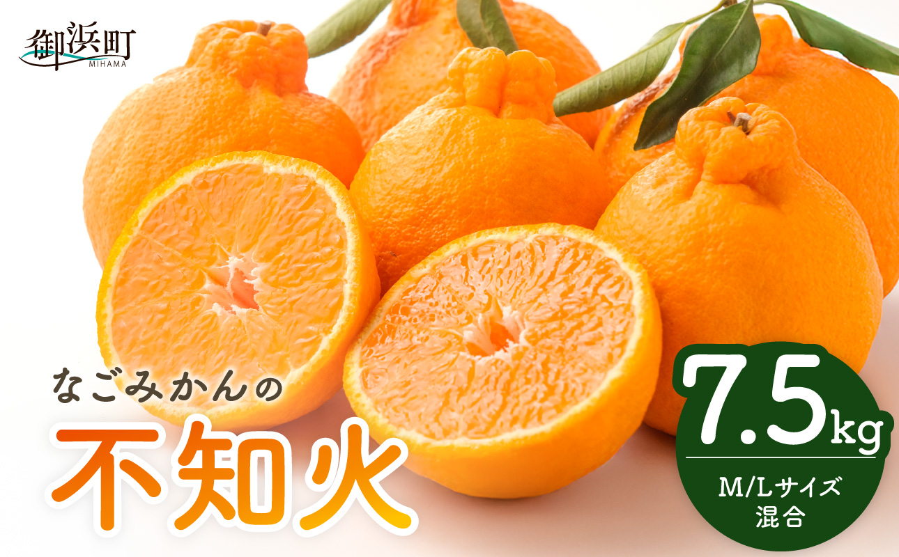 【2027年発送先行予約品】なごみかんの不知火7.5キロ【数量限定 果物 フルーツ みかん 不知火 しらぬい デザート 7.5kg 三重県 御浜町】