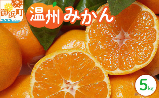 丸安青果の御浜温州みかん5キロ（家庭用) 【果物 フルーツ みかん 温州みかん 5kg 三重県 御浜町】