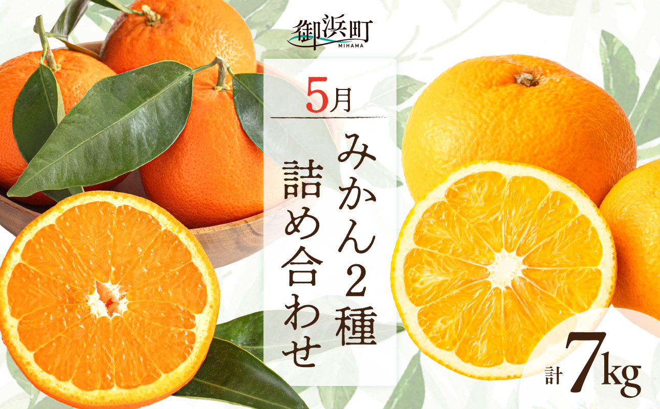 5月の御浜柑橘 みかん2種詰め合わせ 7キロ【先行予約 期間限定 果物 フルーツ みかん セミノール 甘夏 詰め合わせ セット 7kg 三重県 御浜町】